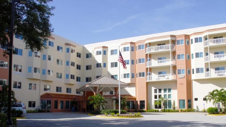 american house palms 1 768x432
