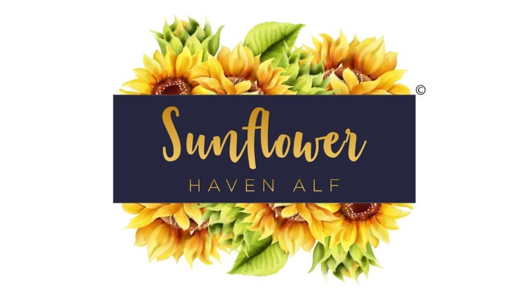 dayi s sunflowers alf llc 1 768x433