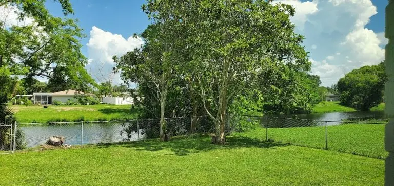 divine care of port charlotte 768x364