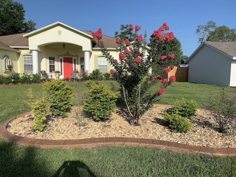 sweet home at last 768x576
