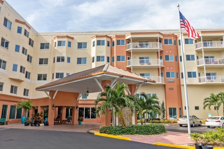 american house palms p2 768x512