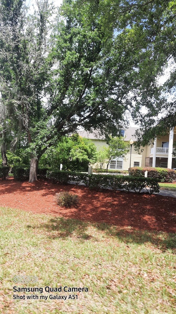 brookdale st augustine p2