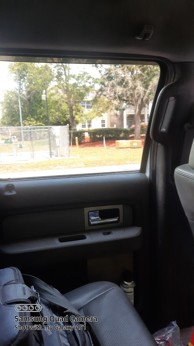 brookdale st augustine p3