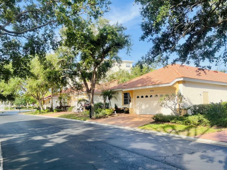 convivial jacaranda trace llc 768x576