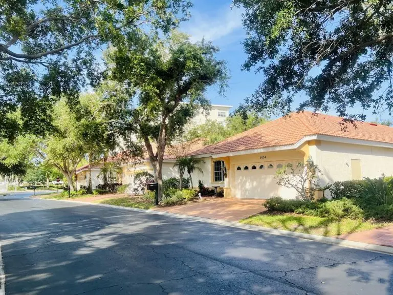 convivial jacaranda trace llc 768x576