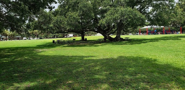 emerald park of hollywood p2 768x374