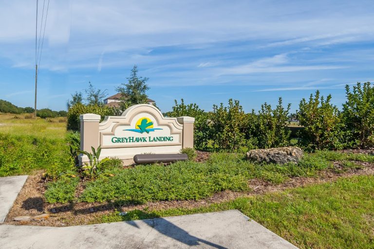 lily s promise llc p4 1 768x512