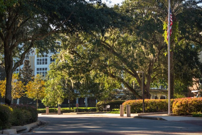 oak hammock at the university of florida p3 768x513