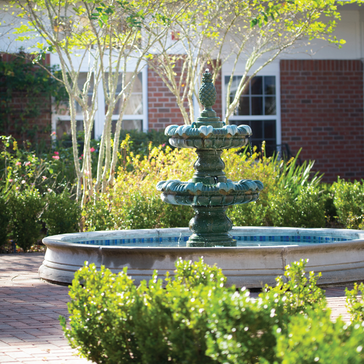 oak hammock at the university of florida p4