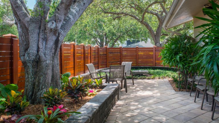 orchid terrace p2 768x432