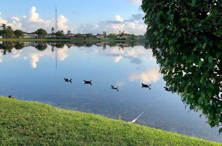 places 1 42 768x506