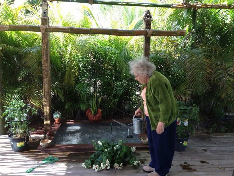shangri la at lockmar alf llc p2 768x576