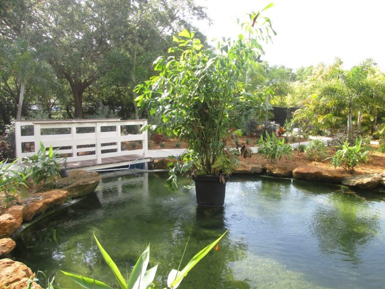 swankridge p4 768x576